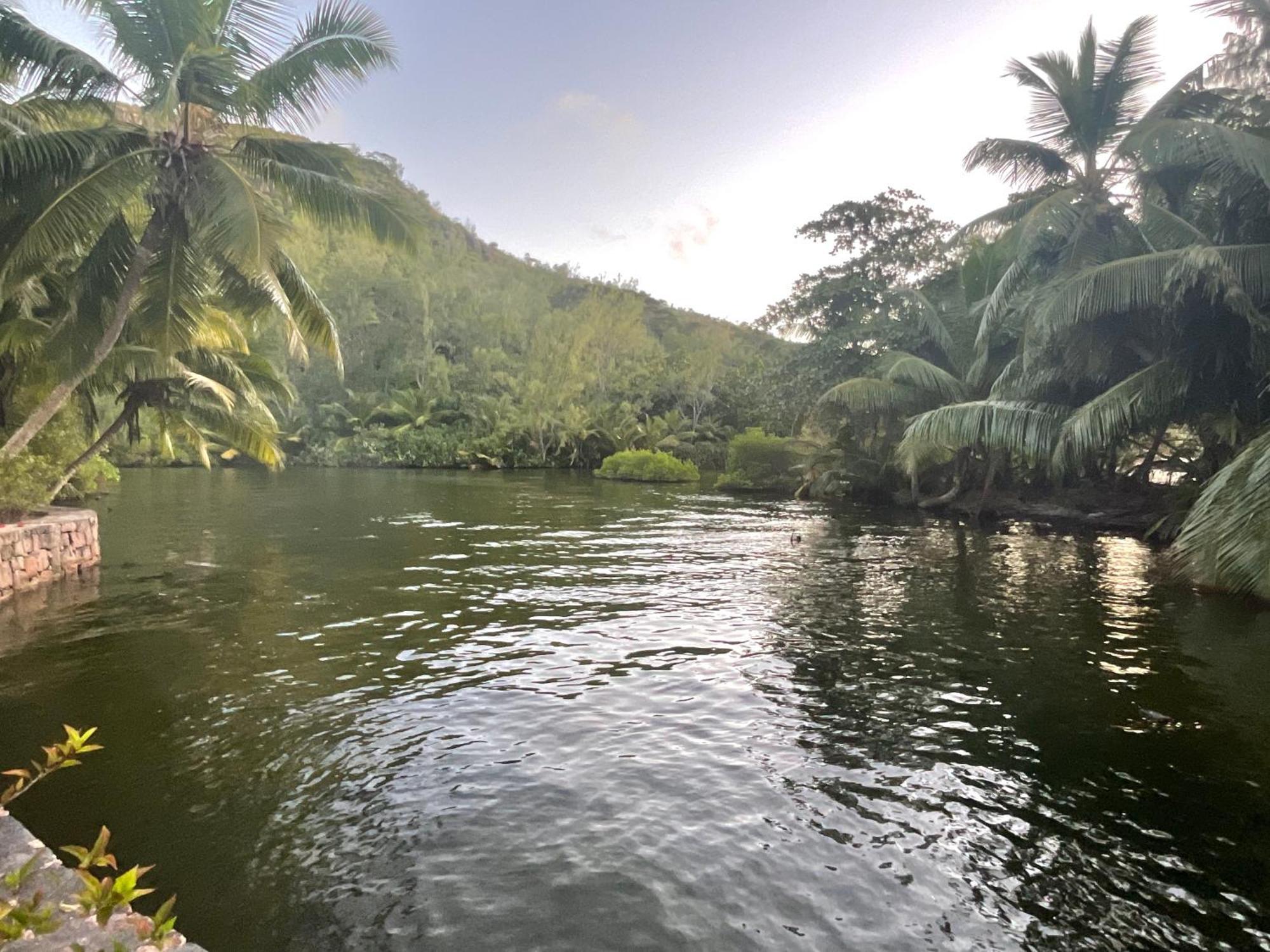 Le Chevalier Bay Pensión Anse Lazio Exterior foto